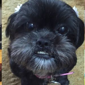 Meet your Posher, Kristy